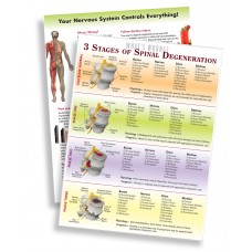 Handout - 3 Stages of Spinal Degen (2-sided)