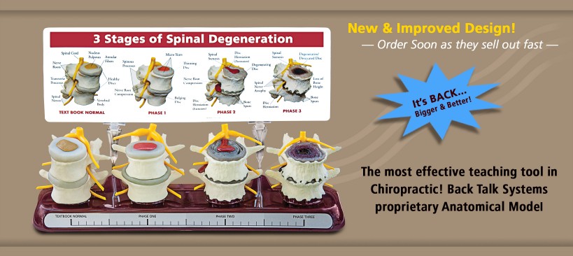 spinal degeneration model