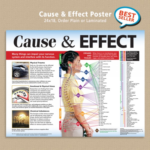 Poster - Cause & Effect